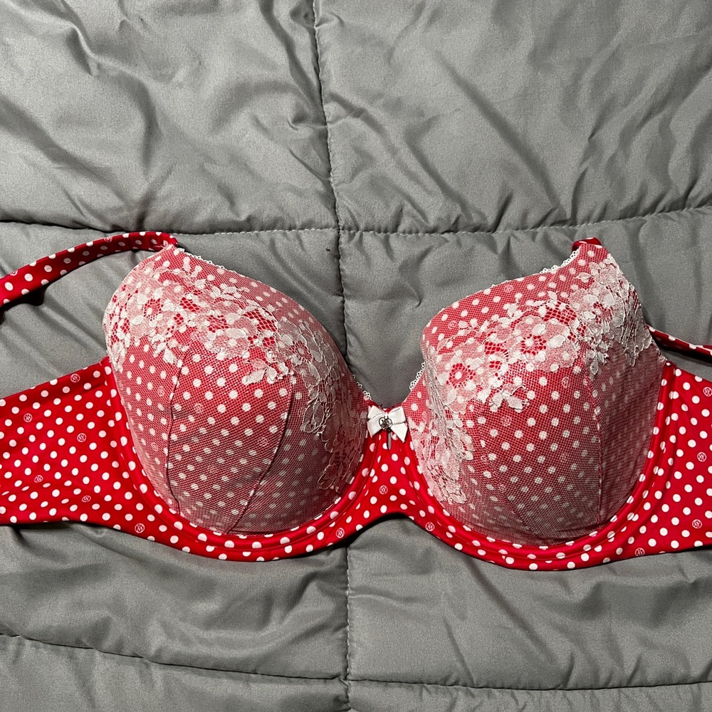 Victoria’s Secret body by Victoria lace bra 40DD